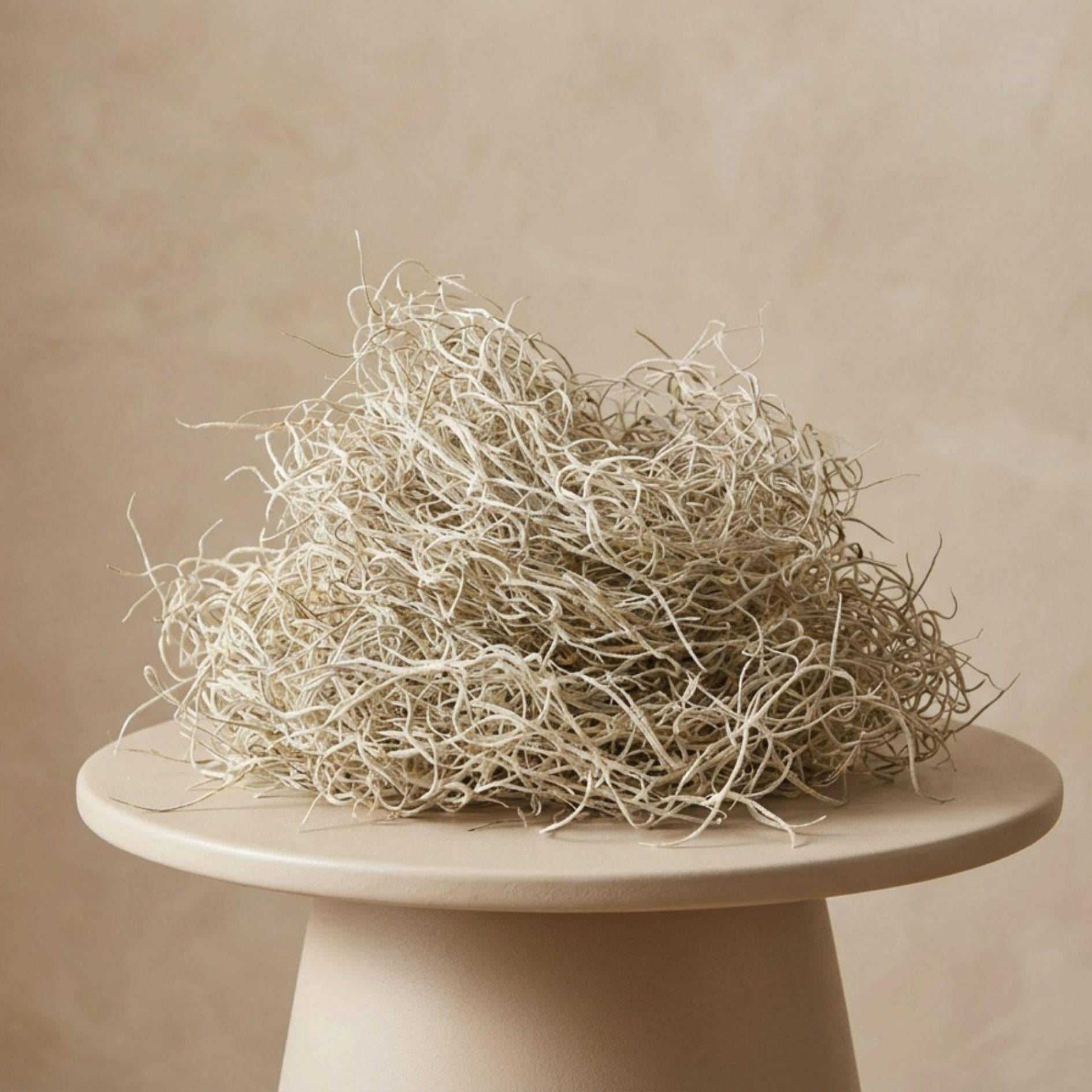 La Green Touch - Mousse de Tillandsia séchée décorative - 1 litre - Image 1