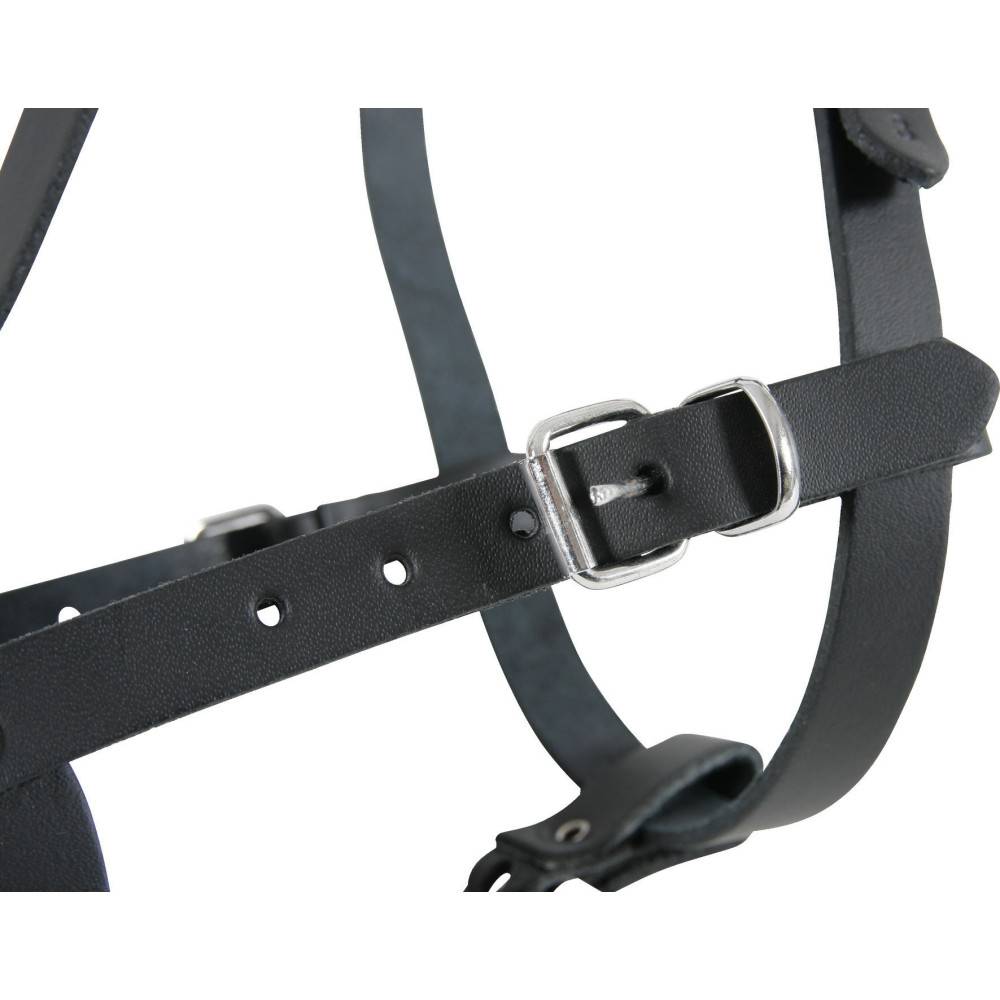 animallparadise - Muselière Police noire, taille 3, convient pour les épagneuls bretons. - Image 2