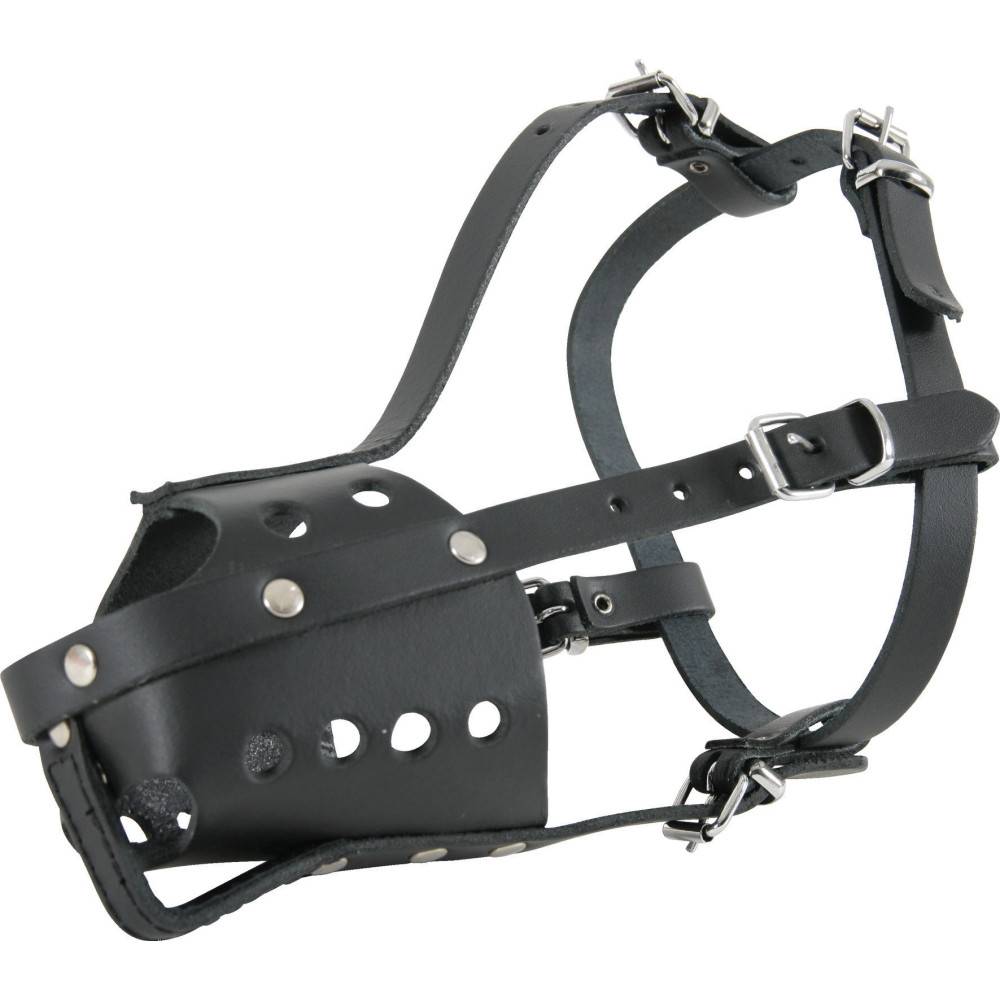 animallparadise - Muselière Police noire, taille 3, convient pour les épagneuls bretons. - Image 1
