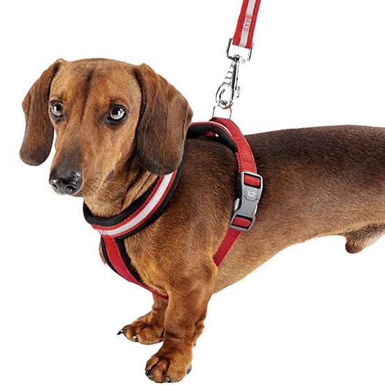Ferplast - Harnais pour Chiens Petite Taille DAYTONA CROSS S, Réfléchissant, avec Boucle Magnétique - Imagen 3