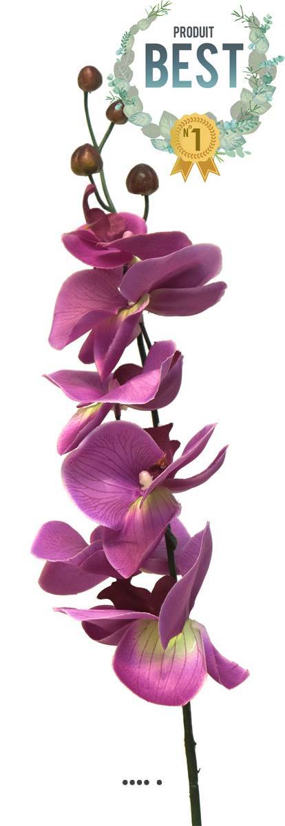 Artificielles - Tige d&rsquo;orchidée phalaenopsis artificielle, H 78 cm Pourpre - BEST - couleur: Pourpre - Imagen 1