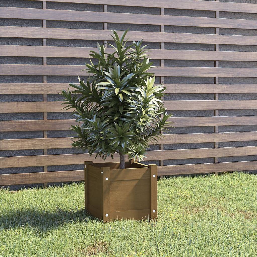 Maison Chic - Jardinière d'extérieur - Pot De Fleurs Marron miel 31x31x31 cm Bois de pin massif - Imagen 2