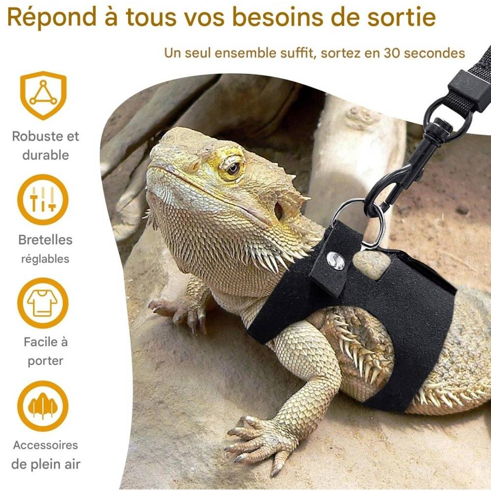Ensemble harnais et laisse pour petits animaux DtopbuyAge - Image 4