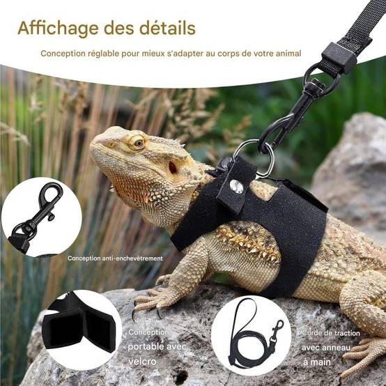 Ensemble harnais et laisse pour petits animaux DtopbuyAge - Image 3
