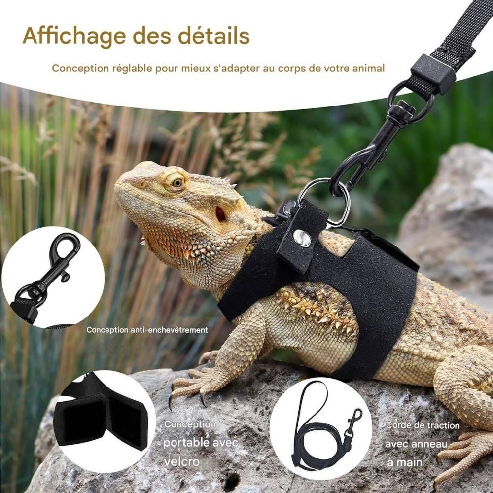 Ensemble harnais et laisse pour petits animaux DtopbuyAge - Image 3
