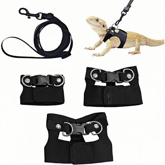 Ensemble harnais et laisse pour petits animaux DtopbuyAge - Image 1