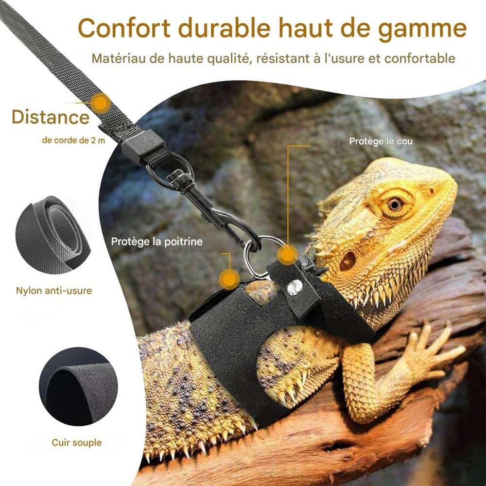Ensemble harnais et laisse pour petits animaux DtopbuyAge - Image 2