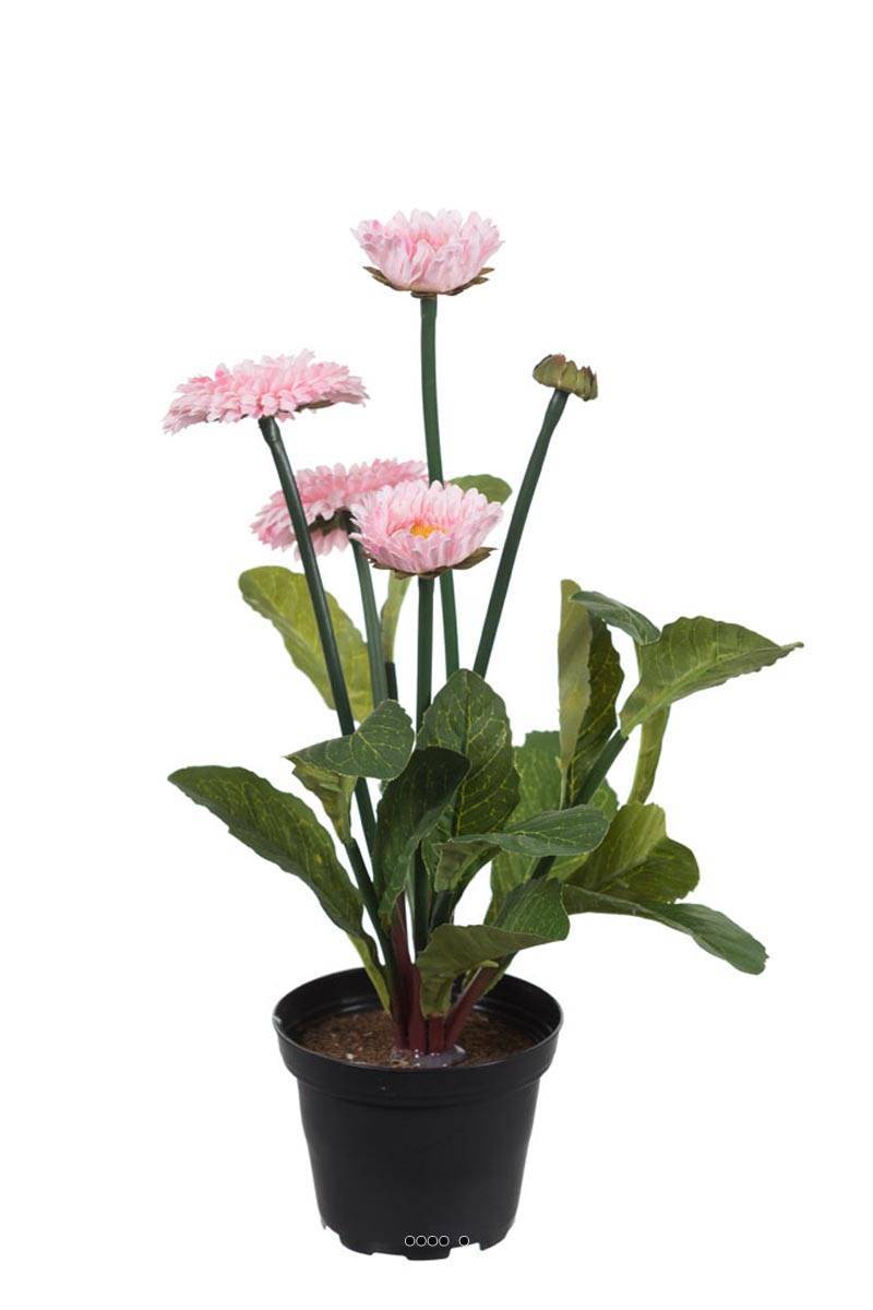 Artificielles - Bellis perennis, paquerettes artificielles en pot H 30 cm Rose pâle - couleur: Rose pâle - Imagen 1