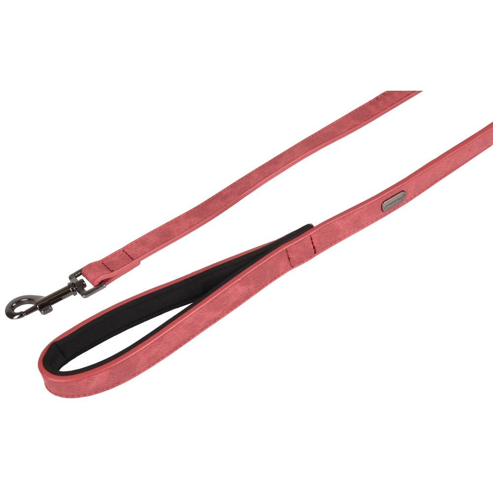 Laisse de 1 Mètre X 25  mm DELU, rouge, pour Chien.