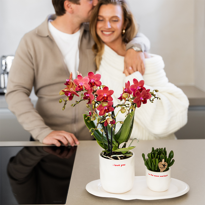 Cache-pot céramique « I Love You » - le cadeau qui dit tout - Pot de 6cm - Image 2