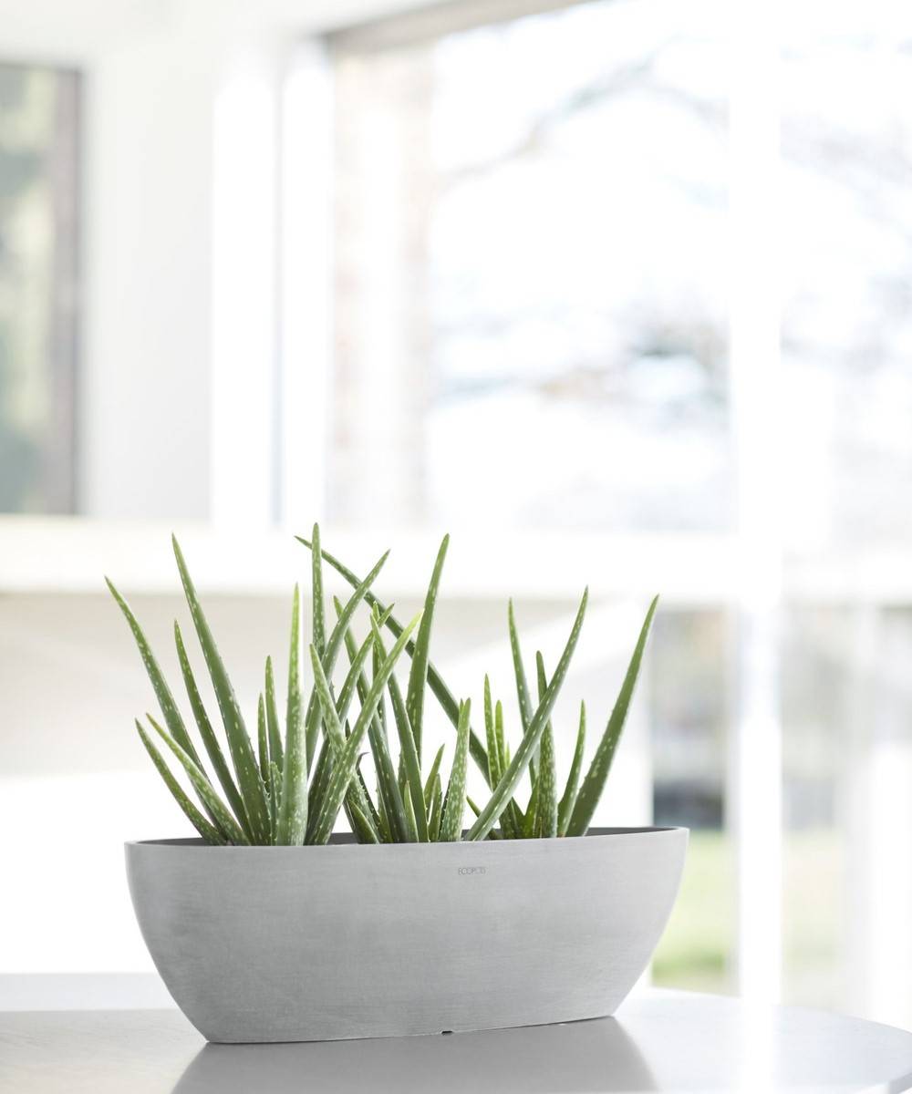 Ecopots - Pot Ovale Sofia Long 56 Blanc Gris + réservoir d'eau - 56 x 14 x H. 16 cm - 7 L ECOPOTS - Imagen 4