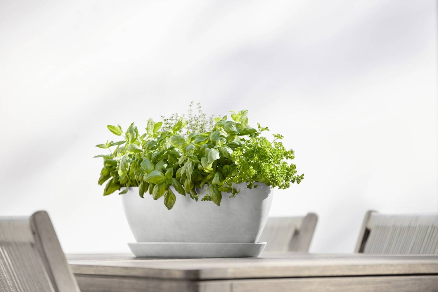 Ecopots - Pot Ovale Sofia Long 56 Blanc Gris + réservoir d'eau - 56 x 14 x H. 16 cm - 7 L ECOPOTS - Imagen 5