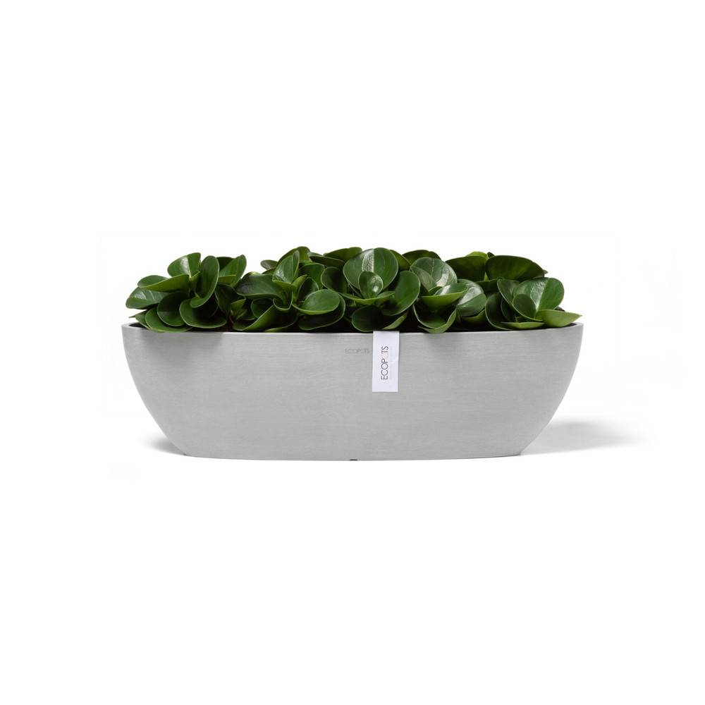 Ecopots - Pot Ovale Sofia Long 56 Blanc Gris + réservoir d'eau - 56 x 14 x H. 16 cm - 7 L ECOPOTS - Imagen 2