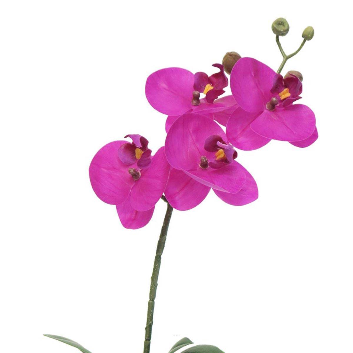 Artificielles - Orchidée Phalaenopsis factice Top Qualité & pot H35cm Rose fushia-BEST - dimhaut: H 35 cm - couleur: Rose fushia 730 - Imagen 3