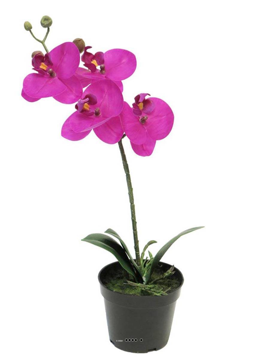 Artificielles - Orchidée Phalaenopsis factice Top Qualité & pot H35cm Rose fushia-BEST - dimhaut: H 35 cm - couleur: Rose fushia 730 - Imagen 2
