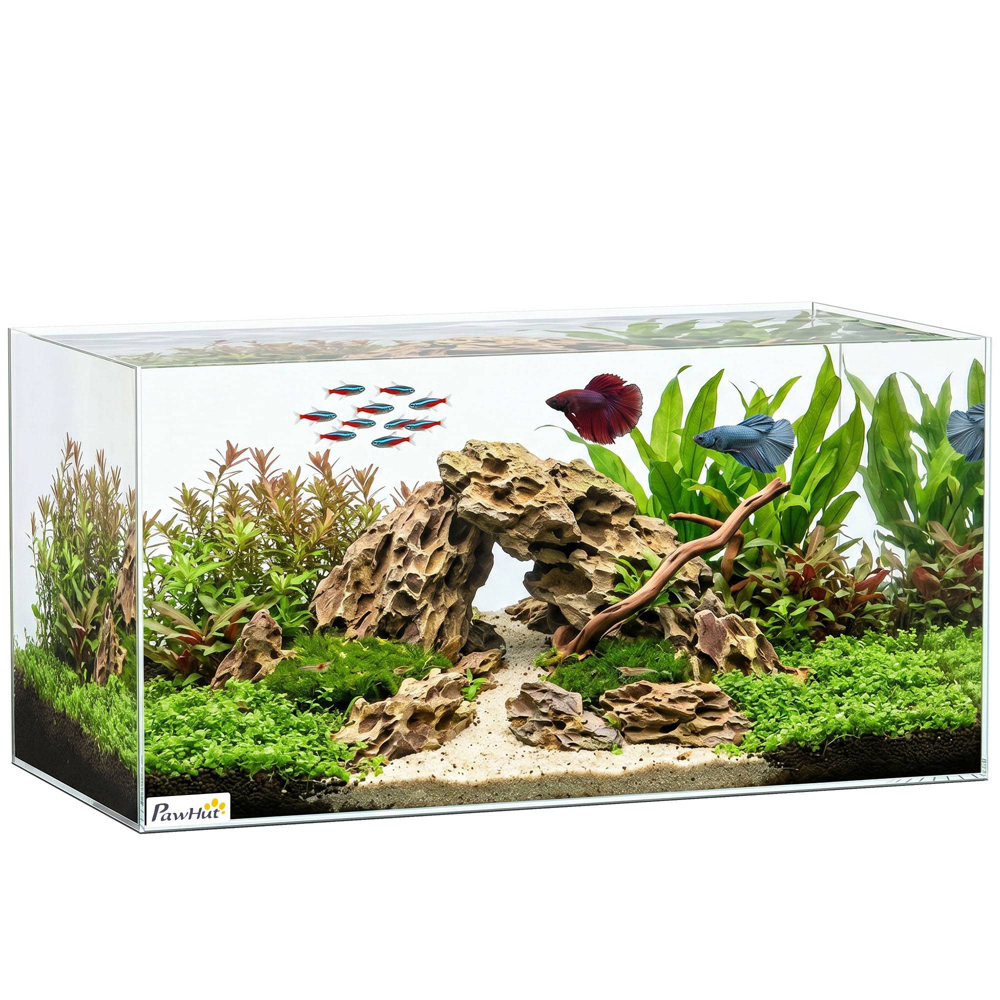 ComfortXL - Aquarium verre trempé 51 L 60x30x30 cm transparent poissons crevettes tortues - ComfortXL Outdoor Living