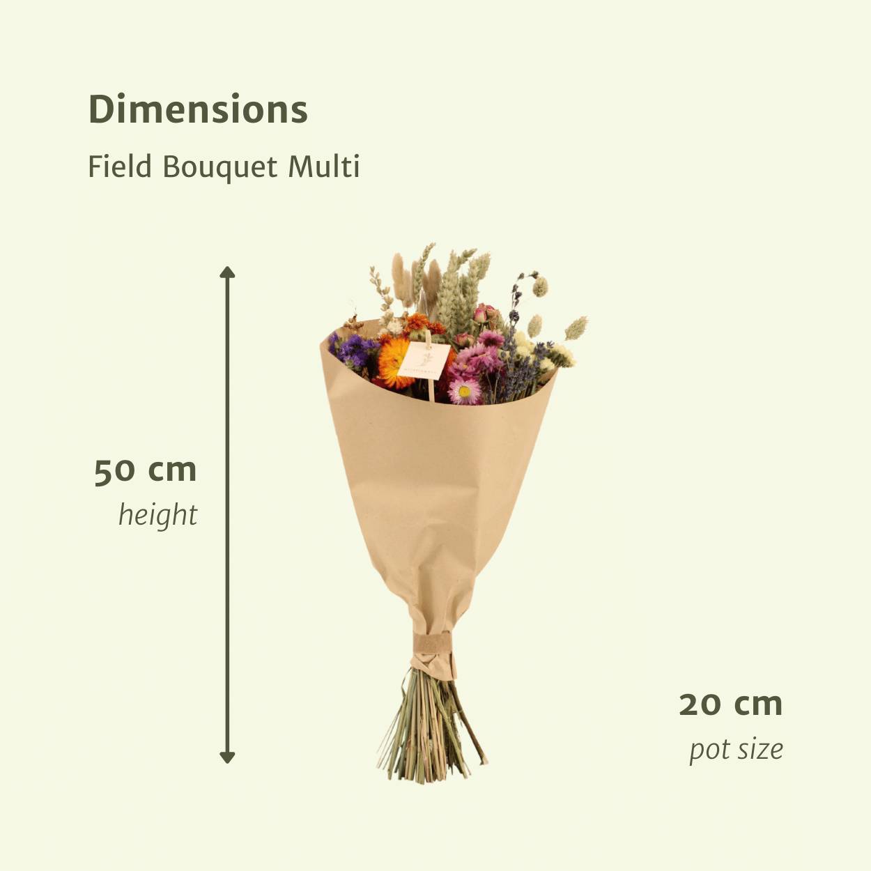 PANGIVO - Bouquet de fleurs séchées multicolore 20 x 20 x 50 cm - PANGIVO - Image 2
