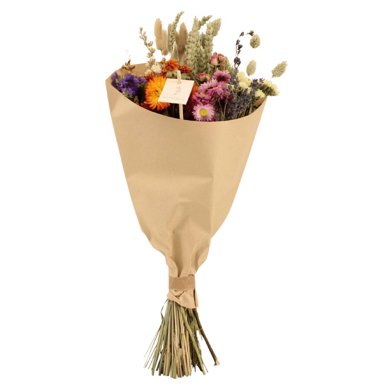 PANGIVO - Bouquet de fleurs séchées multicolore 20 x 20 x 50 cm - PANGIVO - Image 1