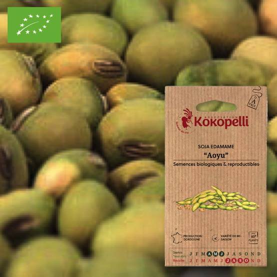Association Kokopelli - Soja Edamame Aoyu- Graines bio à semer - Image 1
