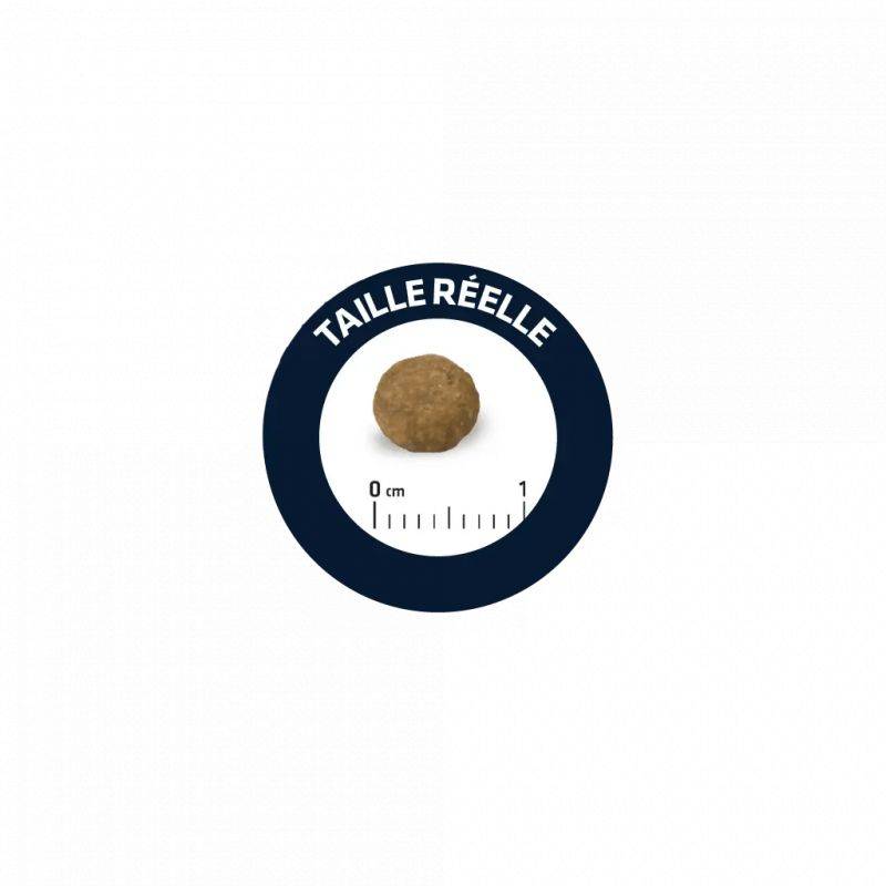 CROQUETTES CHIEN MINI PUPPY - ADVANCE 3 kg - Imagen 2