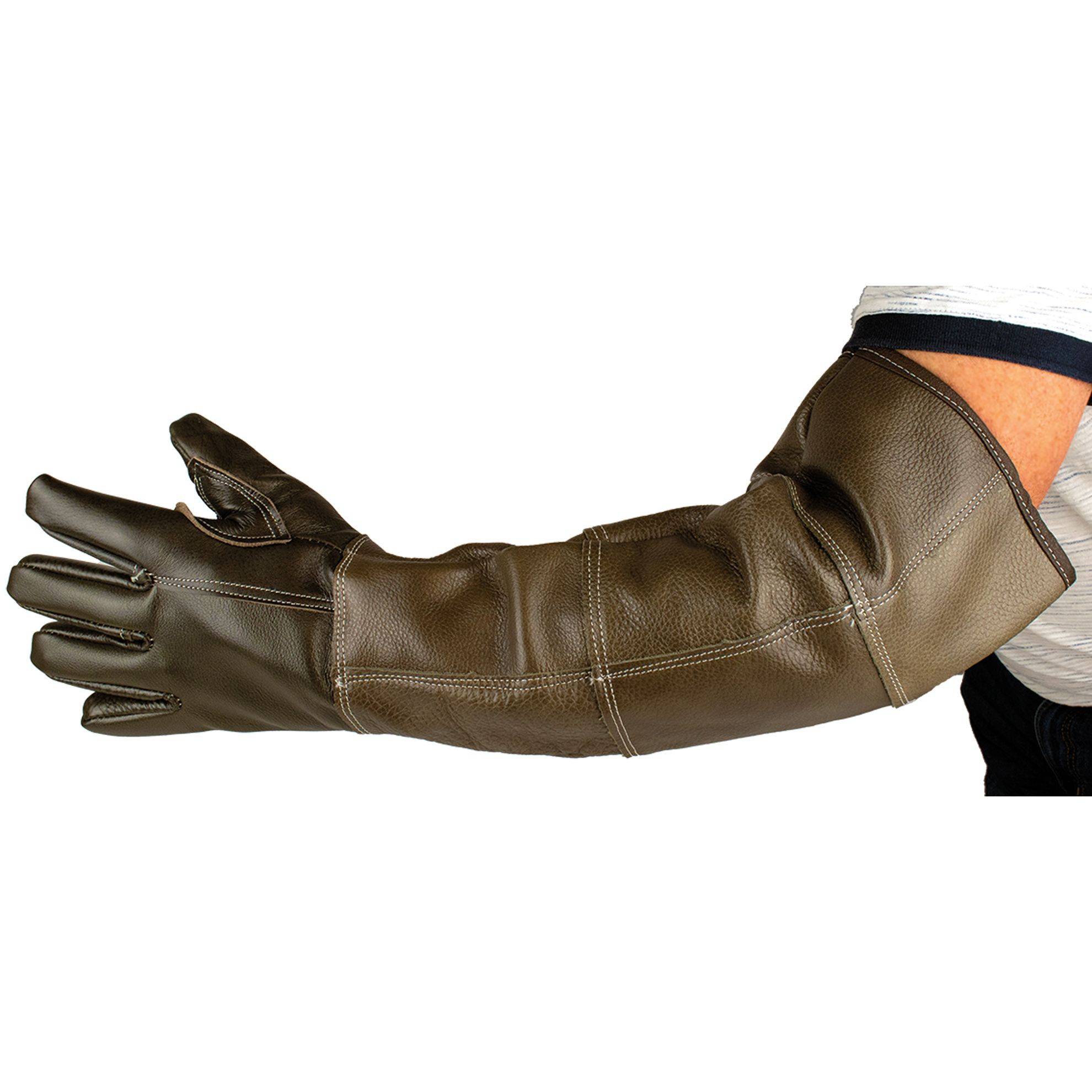Phoenix Universal - Gant de protection anti griffure PHOENIX