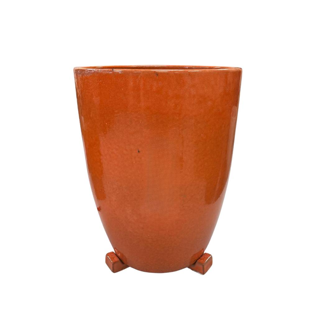 Provencelia - Pied de pot 6cm aurore - Image 3