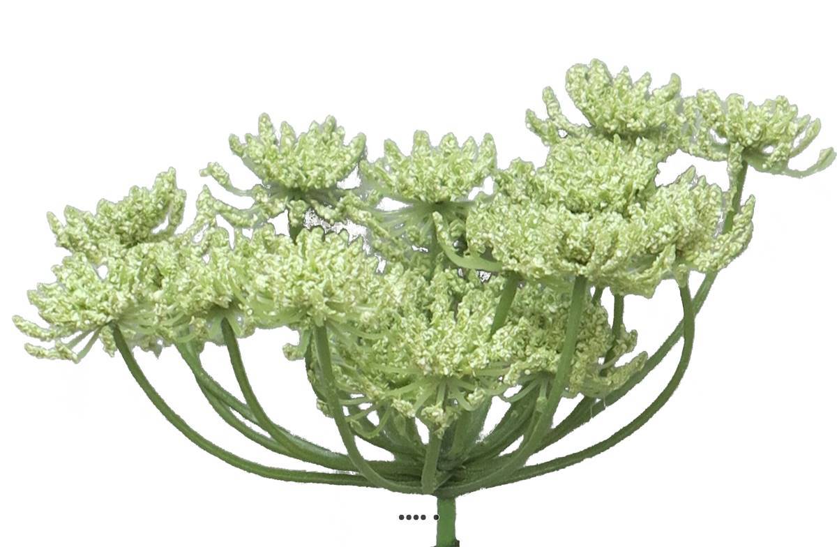 Artificielles - Fleur de carotte sauvage artificielle en tige, H72cm Crème vert - BEST - couleur: Crème vert - Imagen 4