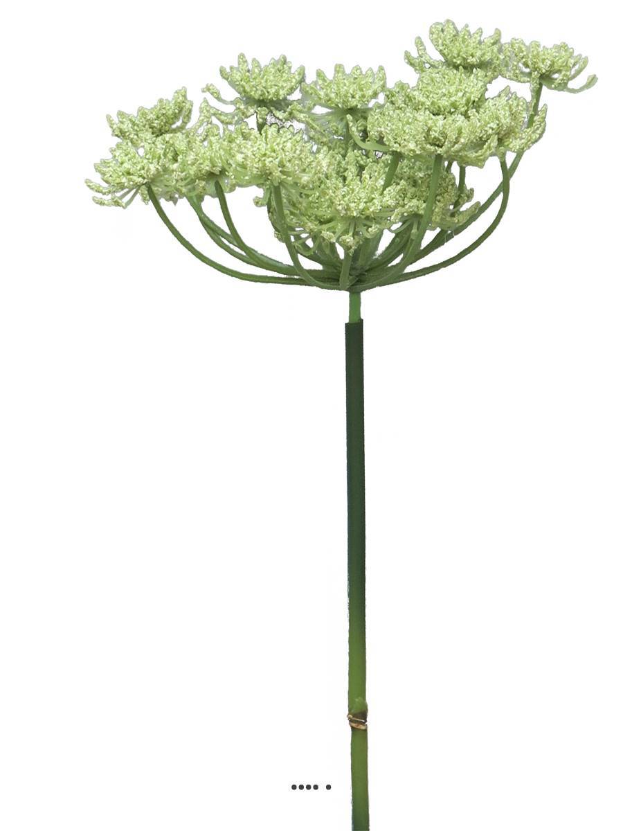 Artificielles - Fleur de carotte sauvage artificielle en tige, H72cm Crème vert - BEST - couleur: Crème vert - Imagen 3