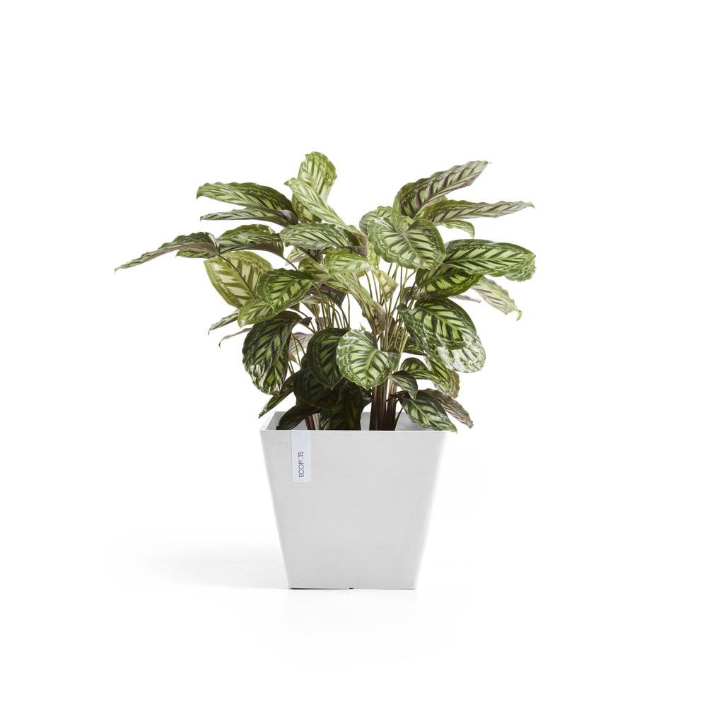 Ecopots - Pot Carré Rotterdam 30 Blanc Pur - 30 x 30 x H. 26 cm - 17 L ECOPOTS - Imagen 4
