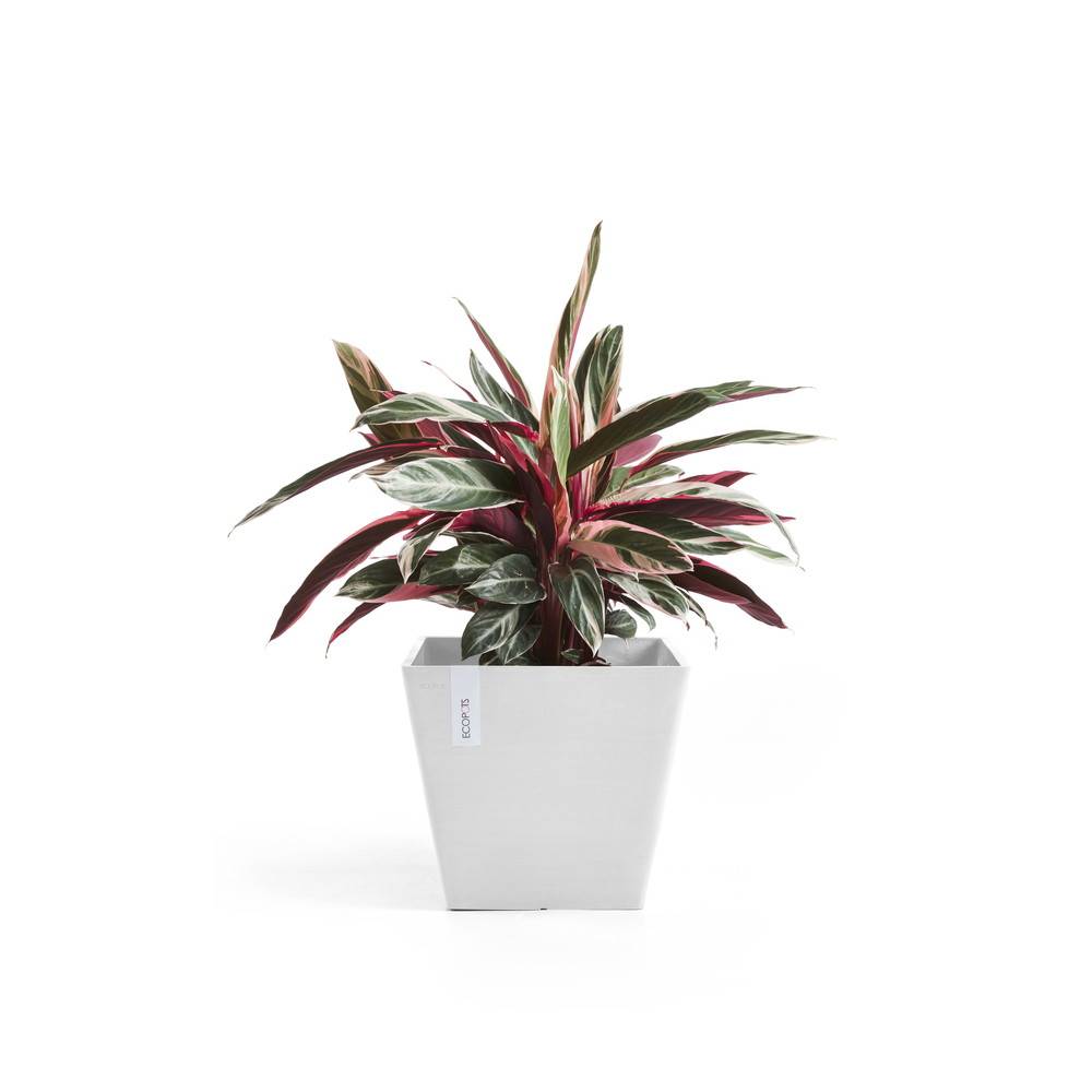 Ecopots - Pot Carré Rotterdam 30 Blanc Pur - 30 x 30 x H. 26 cm - 17 L ECOPOTS - Imagen 3