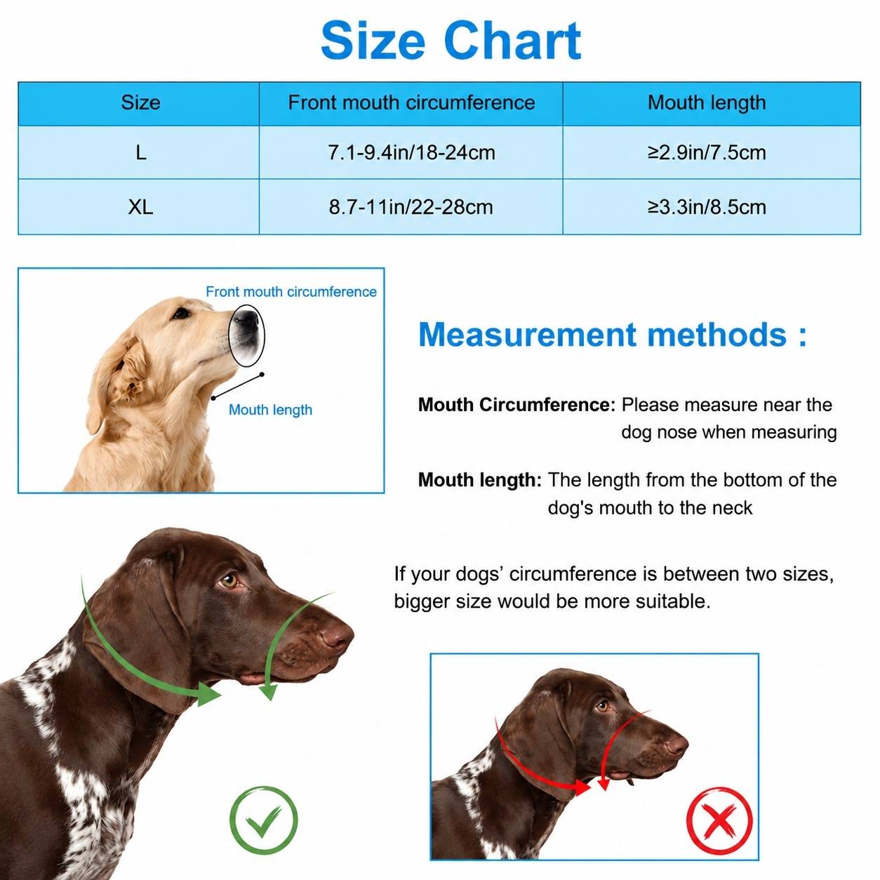 Muselière pour Chien Réglable Nylon Confortable Respirant Anti Mordage Aboiement - Image 3