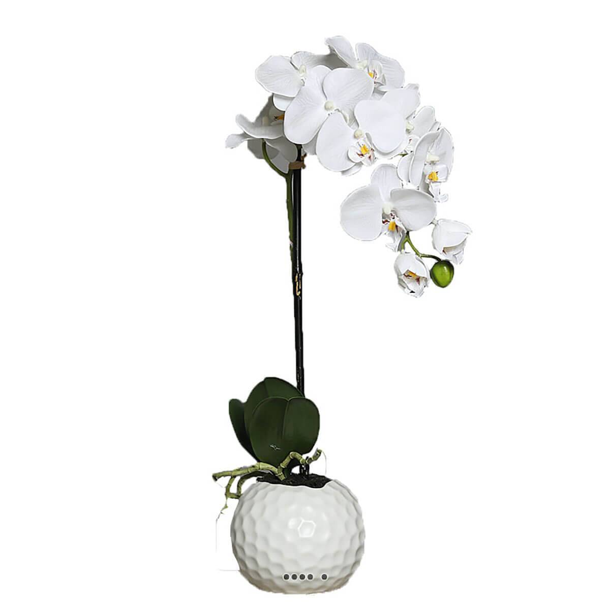 Artificielles - Orchidee artificielle crème 1 hampe en pot Ceramique Blanc H 46 cm - couleur: Crème - Imagen 1
