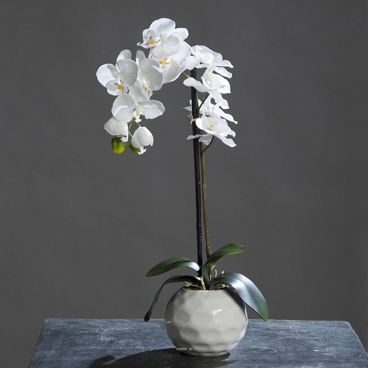 Artificielles - Orchidee artificielle crème 1 hampe en pot Ceramique Blanc H 46 cm - couleur: Crème - Imagen 2