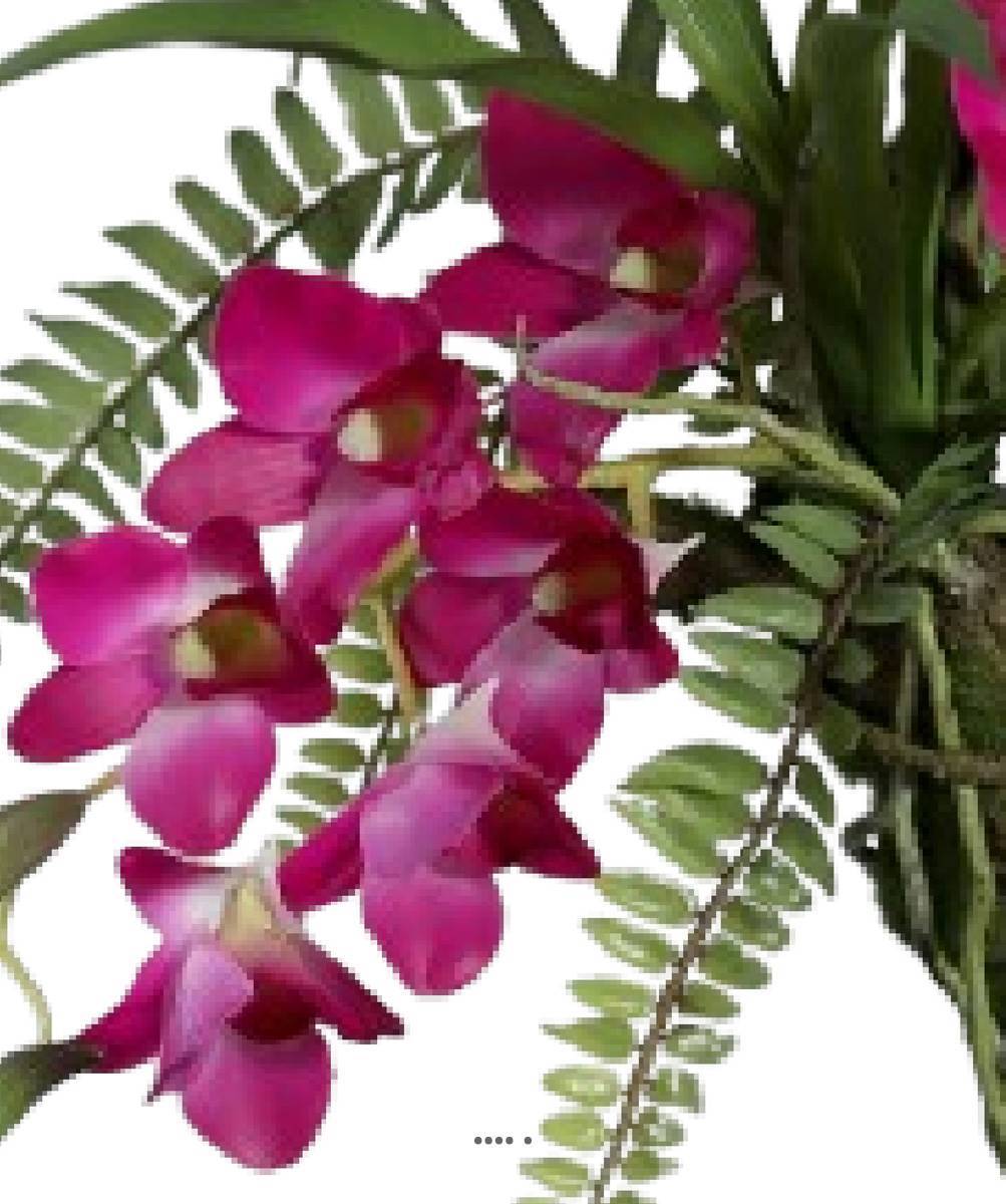 Artificielles - Orchidée Dendrobium en Latex sur branche à suspendre L50cm RoseSoutenu - couleur: Rose soutenu - Imagen 3
