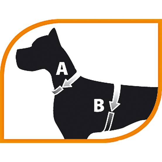Ferplast - Ferplast Harnais ergonomique pour chiens AGILA 6, fermeture à double micro-régulation, eco-cuir élégant, bords refléchissants, A=B 50÷58 cm Blanc - Imagen 2