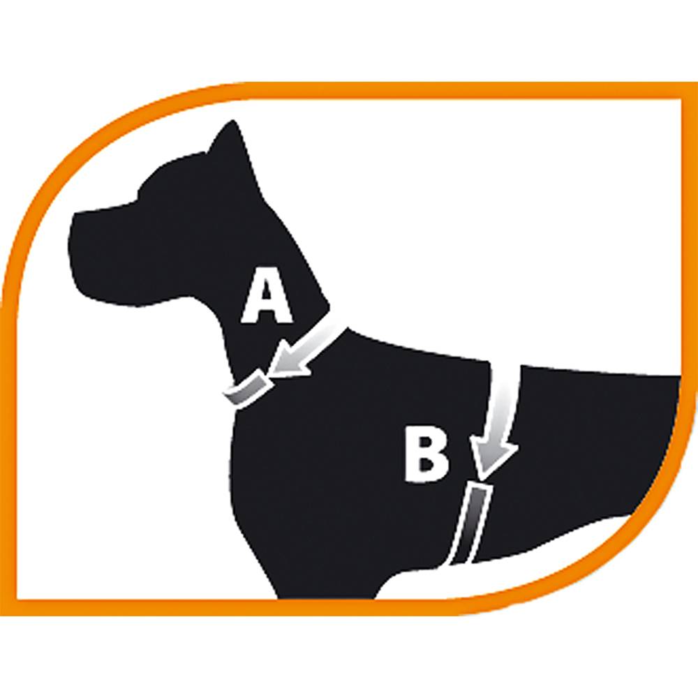 Ferplast - Ferplast Harnais ergonomique pour chiens AGILA 6, fermeture à double micro-régulation, eco-cuir élégant, bords refléchissants, A=B 50÷58 cm Blanc - Imagen 2