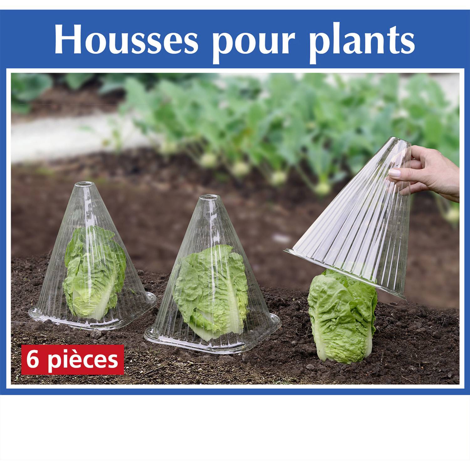 Sans Marque - 6 Housses pour plants - Wenko - Image 2