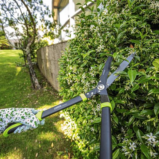 Taille haie Cisaille de jardin Lame Acier Carbone 27,5 cm Manche Aluminium VITO - Image 3