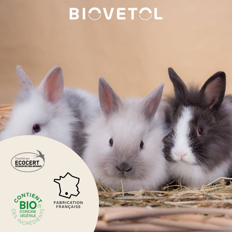 Biovetol - Poudre Anti-Insectes Bio rongeurs- 100g - Image 4