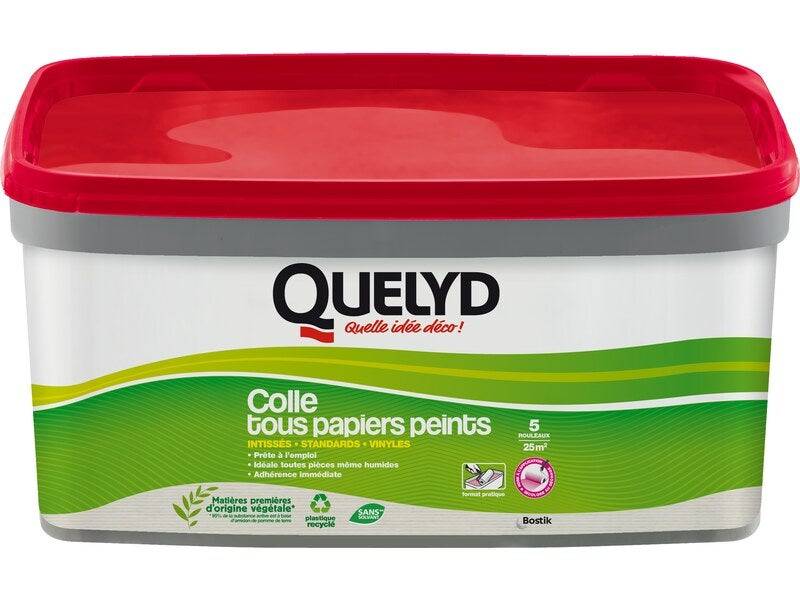 Quelyd - Colle Pate tous papiers peints QUELYD, 3 kg - Image 5