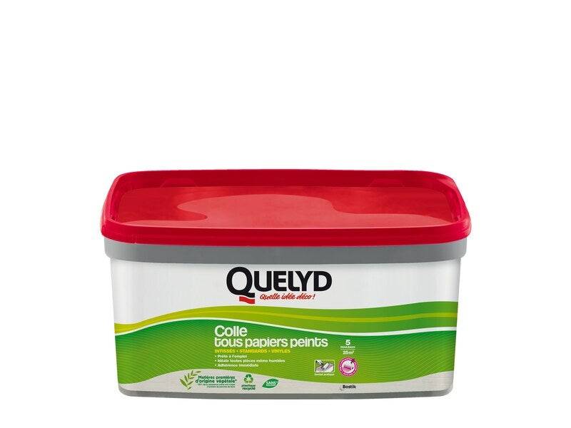 Quelyd - Colle Pate tous papiers peints QUELYD, 3 kg - Image 1