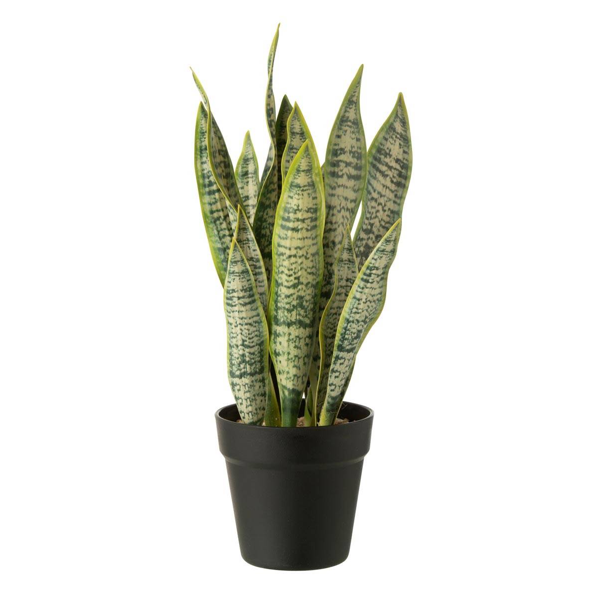 Plante Artificielle en Pot "Dracaena Trifasciata" 47cm Vert - Image 1