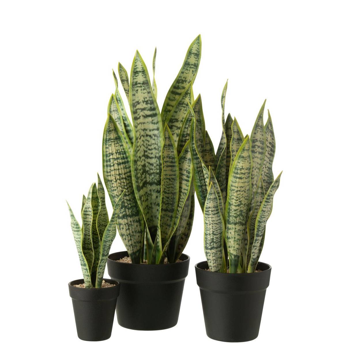 Plante Artificielle en Pot "Dracaena Trifasciata" 47cm Vert - Image 2