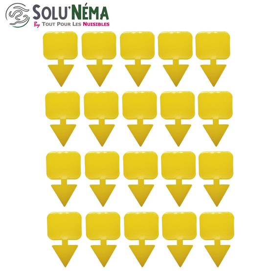 Biogrowi Stenema 10m² - SF Nématodes Contre Mouches du terreau. Anti moucherons. Larves de Biogrowi Stenema 10m² - SF Nématodes Contre Mouches du terreau. Anti moucherons. Larves de