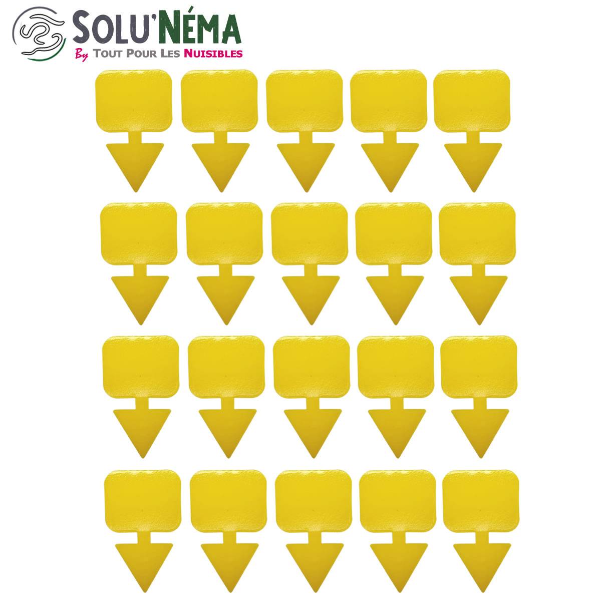 Biogrowi Stenema 10m² - SF Nématodes Contre Mouches du terreau. Anti moucherons. Larves de