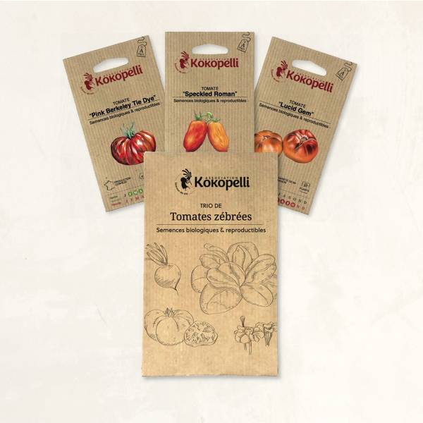 Tomates zébrées - 3 sachets de graines bio à semer- Association Kokopelli - Imagen 2