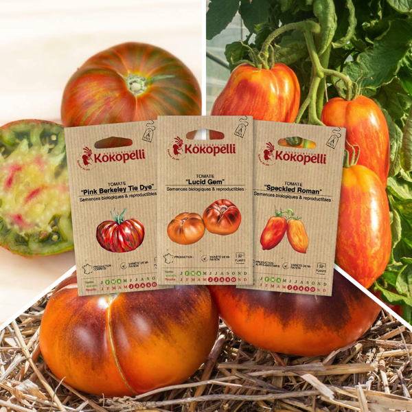 Tomates zébrées - 3 sachets de graines bio à semer- Association Kokopelli - Imagen 1