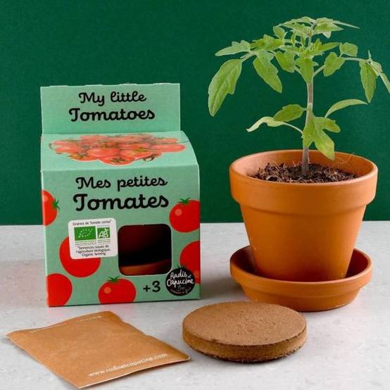 Radis et Capucine - Radis et Capucine - Kit plantation - Tomates Cerise bio - 8cm - Imagen 2