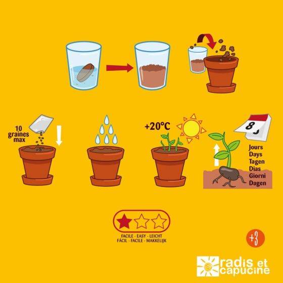 Radis et Capucine - Radis et Capucine - Kit plantation - Tomates Cerise bio - 8cm - Imagen 4