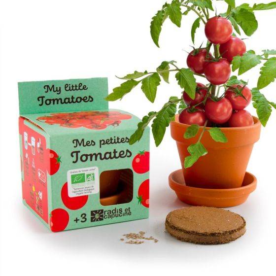 Radis et Capucine - Radis et Capucine - Kit plantation - Tomates Cerise bio - 8cm - Imagen 3